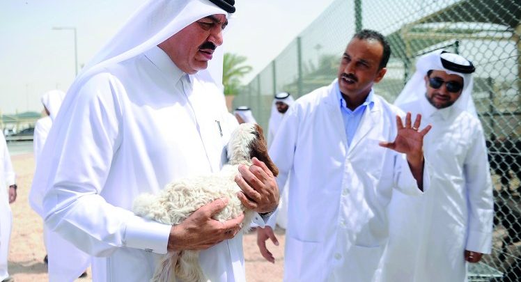 New animal research centre at Al Shehaniya to boost production