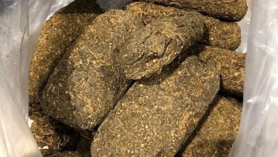 Customs seizes 46 kilograms of marijuana and four tons of illegal chewing tobacco