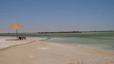 Al Dhakhira beach ready after clean-up