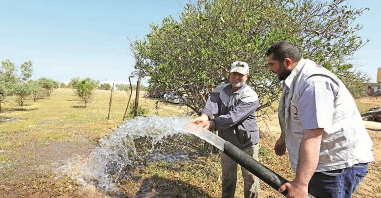 Qatar Charity launches farming project in Gaza Strip