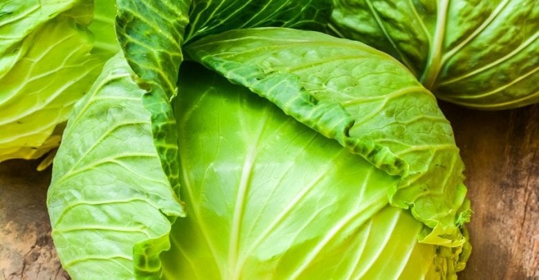 The health benefits of cabbage