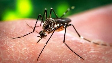 Travellers urged to take precautions against Zika virus