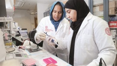 Qatari students complete WCM-Q internship