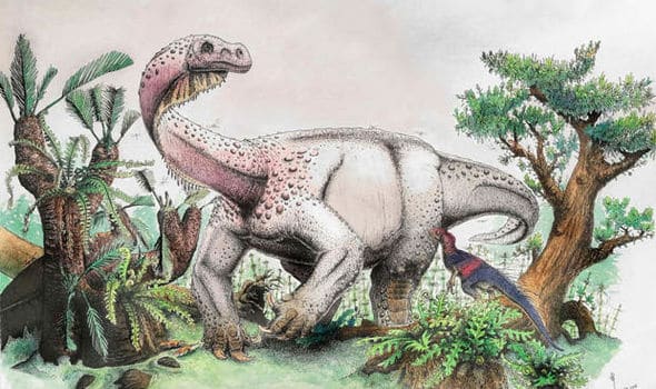 Largest dinosaur to roam Earth 200 MILLION years ago found