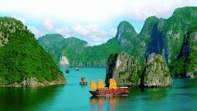 Vietnam mulls visa exemption facility for Qataris: Envoy