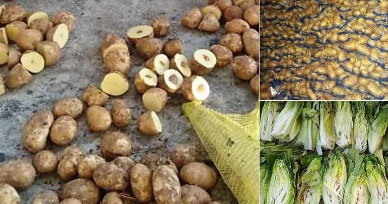 More than 64 tonnes of agricultural produce destroyed for violations