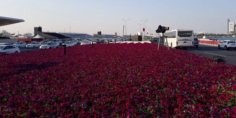 Municipality unveils largest flag of Qatar made with flowers