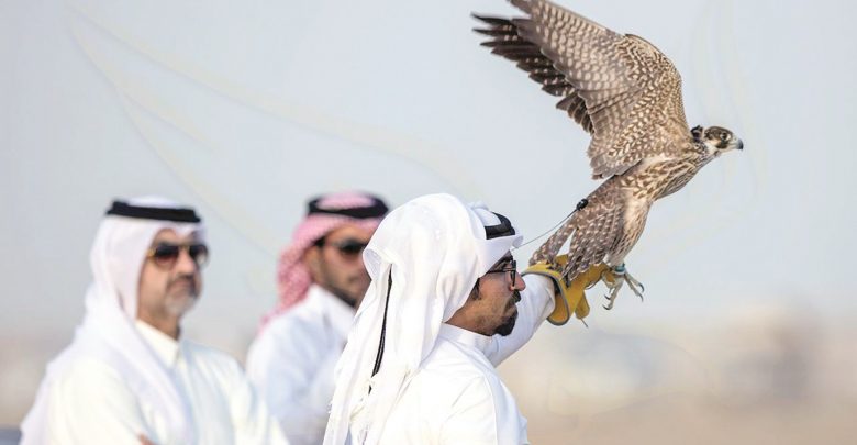 Traditional Qatari falconry to be highlighted at QNL