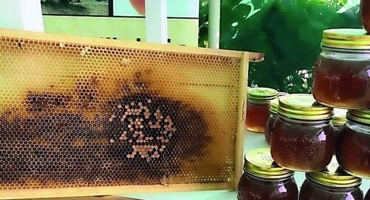 Honey Market at Souq Waqif to open next month
