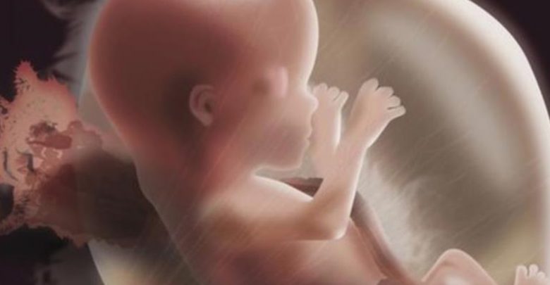 Why Do Babies Kick in the Womb?