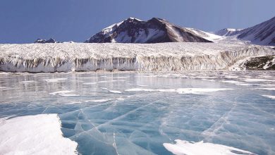 Discovery of the "lake of puzzles" under the South Pole