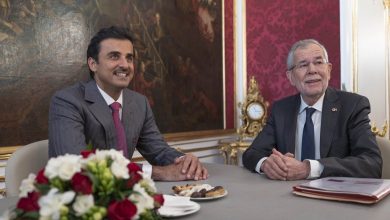 Amir meets Austrian President