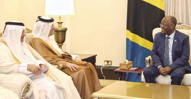 Foreign Minister meets President of Tanzania