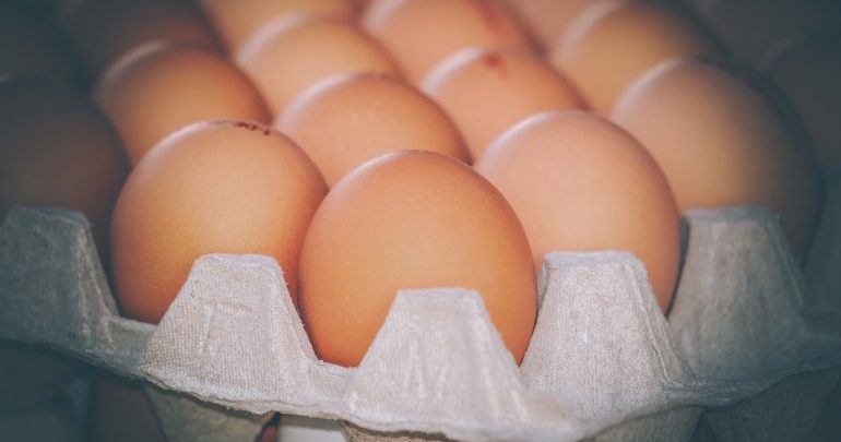Eight projects to produce 220 million table eggs