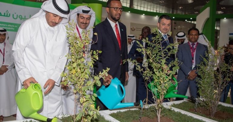Project to plant 1 million trees in Qatar kicks off