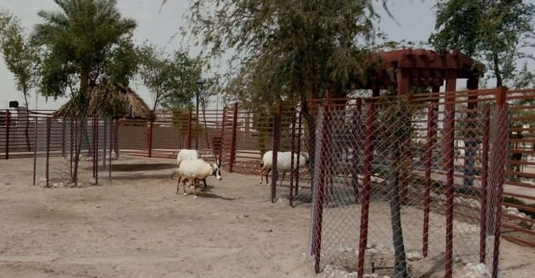 New park opens in Al Shahaniya with mini zoo