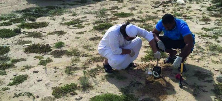 MME launches first phase of soil quality monitoring