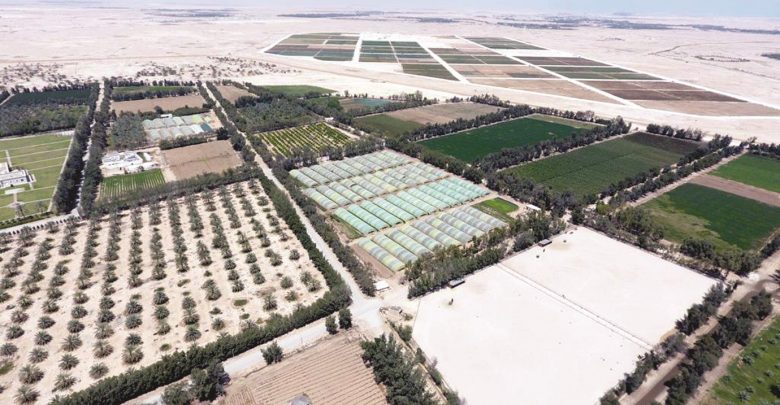 Qatar Airways flights and lounges to use produce from local farms