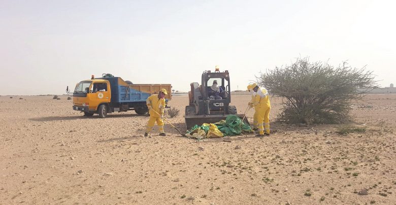 105 carcasses removed in cleanup campaign