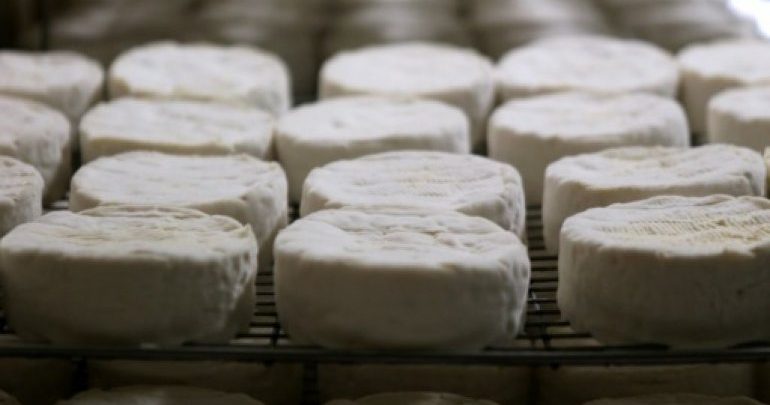 Ministry warns against consuming two types of French cheese