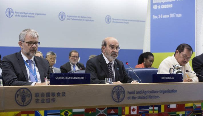 Qatar elected unanimously as Vice-President of FAO General Conference