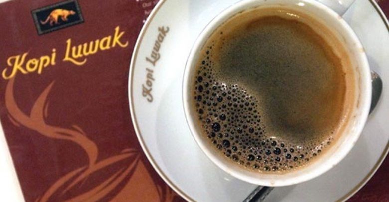 The Disturbing Secret Behind the World's Most Expensive Coffee
