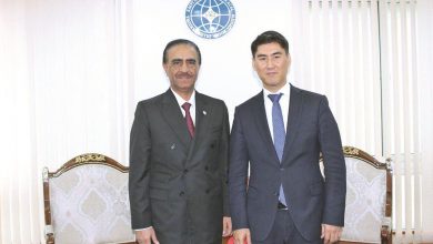 Kyrgyz Foreign Affairs Minister meets Ambassador of Qatar