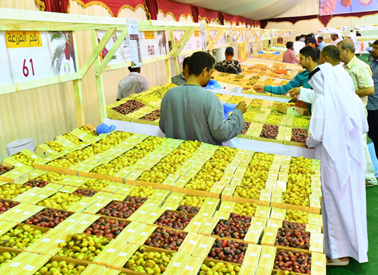 45 tons sold at dates festival .. number of visitors exceeded 15 thousand