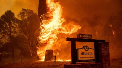 Australia declares state of emergency in two states due to fires