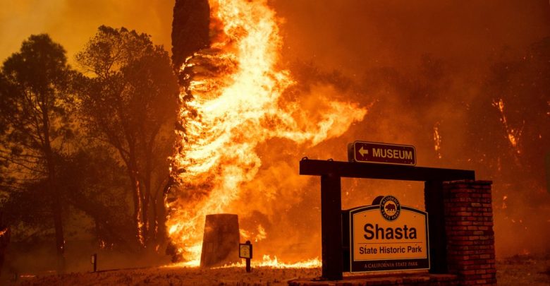 Australia declares state of emergency in two states due to fires