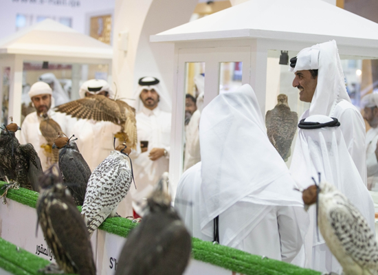 Amir visits Katara falcons exhibition