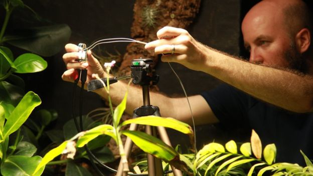 Plant 'takes' botanical world's first selfie