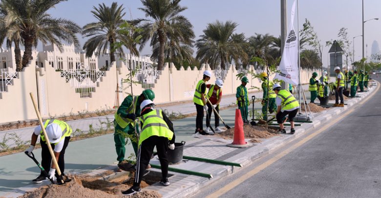 Al Ahnaf Bin Qais Preparatory School Students Join Ashghal to Plant 60 Trees