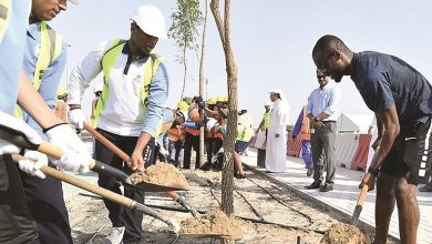 Ashghal, Aspire students take part in beautification, tree-planting campaign