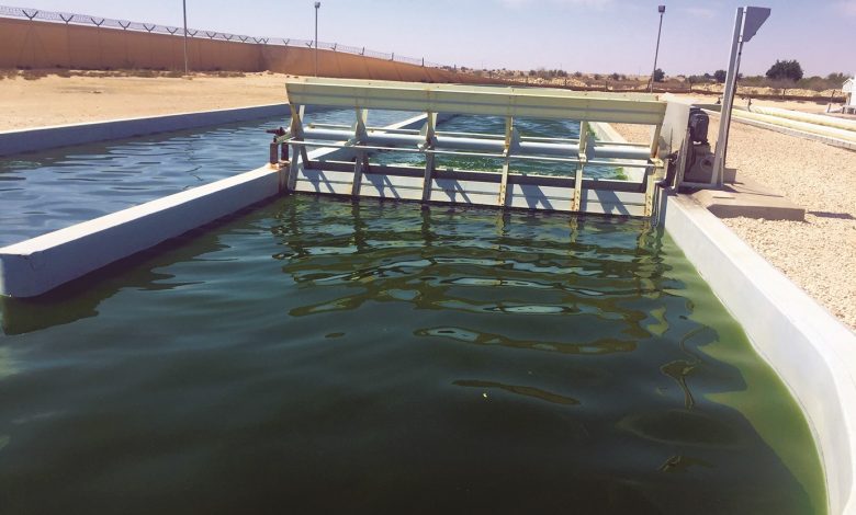 Total, Qatar University launch algae-based research collaboration