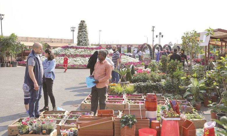 Demand soars for varieties of flowers & ornamental plants at Mahaseel Festival