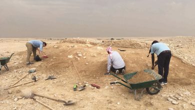 Qatar Museums, Sidra launch archaeological project