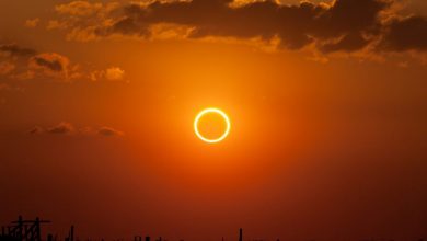 Qatar Calendar House holds event on rare solar eclipse