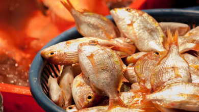 Daily bulletin brings down fish prices by 23%