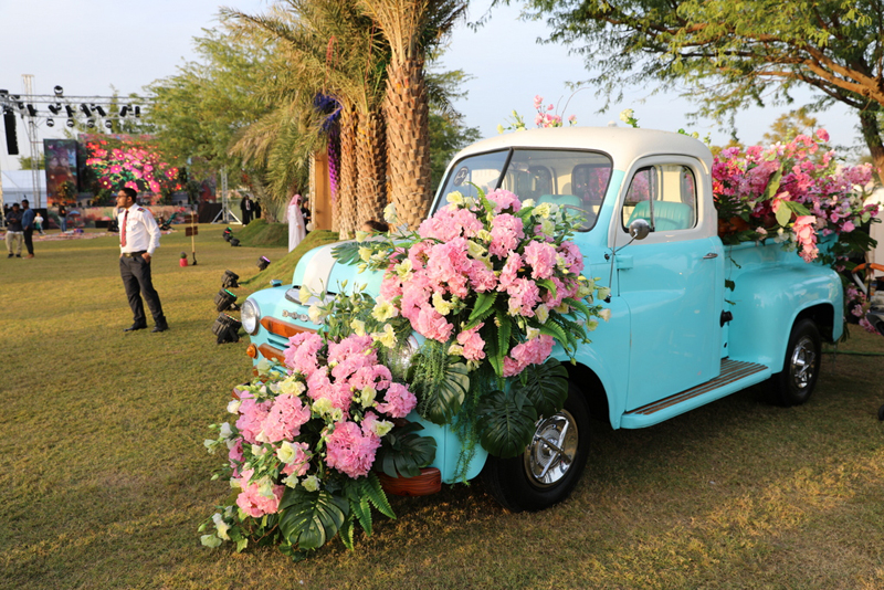 Five floral themed gardens add colour to Katara Hills | What's Goin On ...