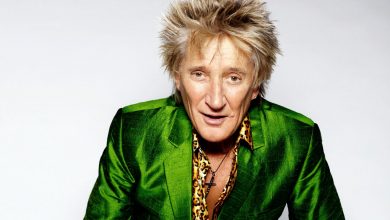 The Rod Stewart Experience
