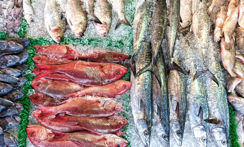 Ministry announces the maximum prices for selling fish and seafood