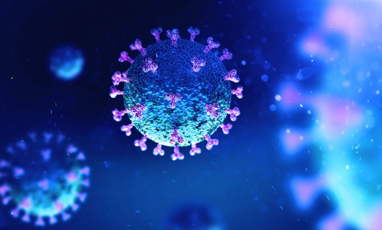 MoPH reports four more deaths from coronavirus and 557 new cases