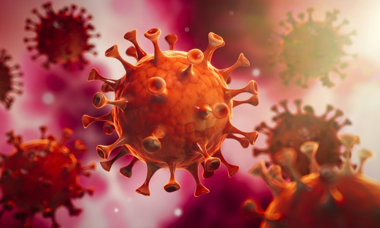 MoPH reports 560 new confirmed cases of coronavirus (Covid-19)