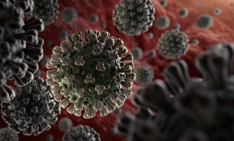 MoPH reports two more deaths from coronavirus and 283 new cases