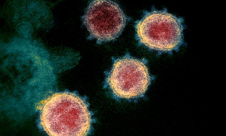 Scientists created the first substance to slow the spread of coronavirus infection