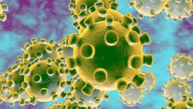 MoPH reports 192 new confirmed cases of coronavirus