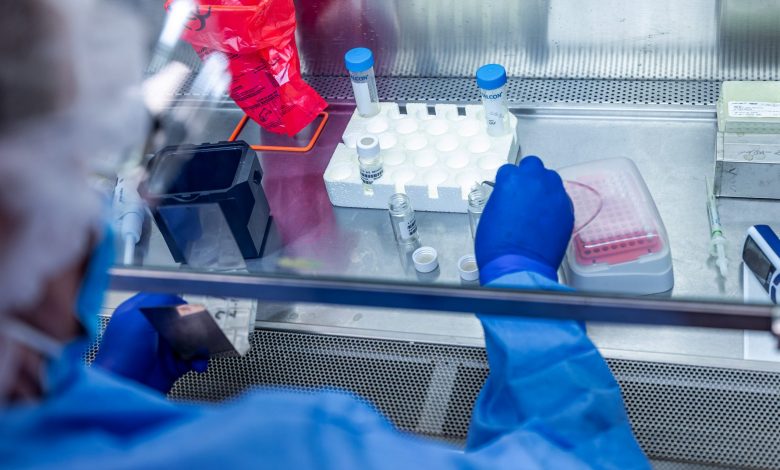 Senior US official warns: A second wave of worse coronavirus awaits us next winter