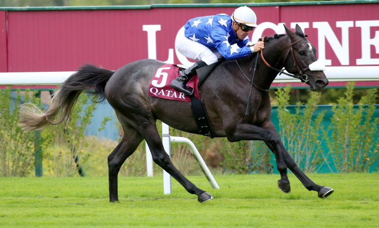 Amyr Du Soleil - a champion in the making for Al Shahania