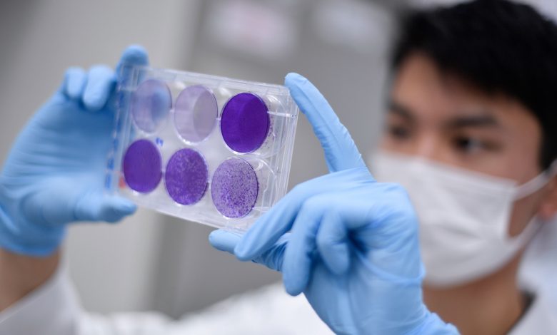 Scientists create antibody that defeats coronavirus in lab